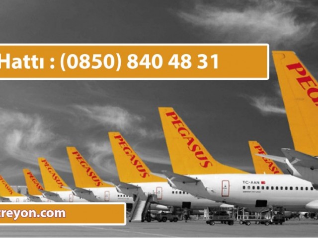 Pegasus Havayolları Telefon